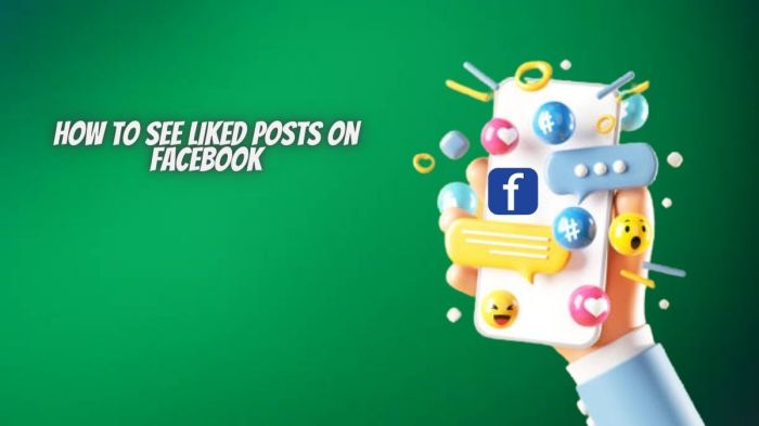 Cara Melihat Postingan Yang Di Like Di Fb