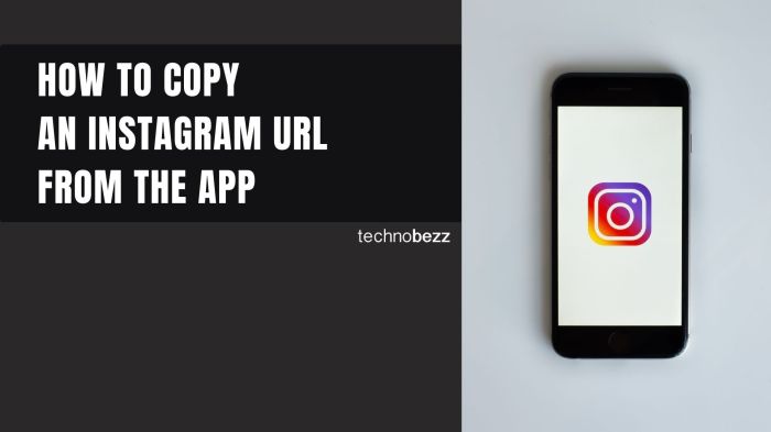 Cara Salin Url Ig Sendiri