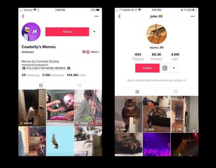 Nama Kontak Pacar Aesthetic Tiktok Dan Artinya