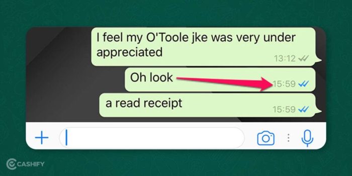 Read whatsapp receipts turn android off disable message details when bestusefultips delivered cannot device