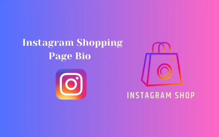 Contoh Bio Online Shop Di Instagram