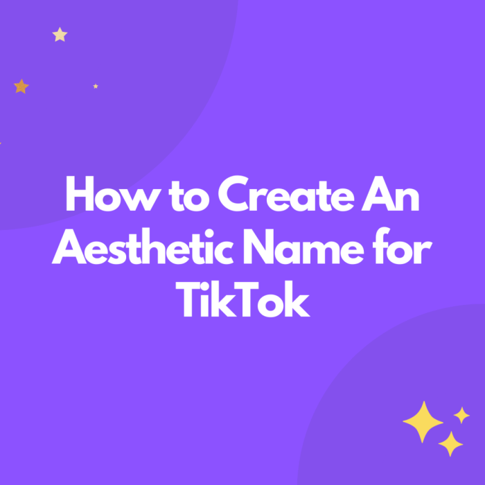 Nama Tiktok Aesthetic Dan Artinya