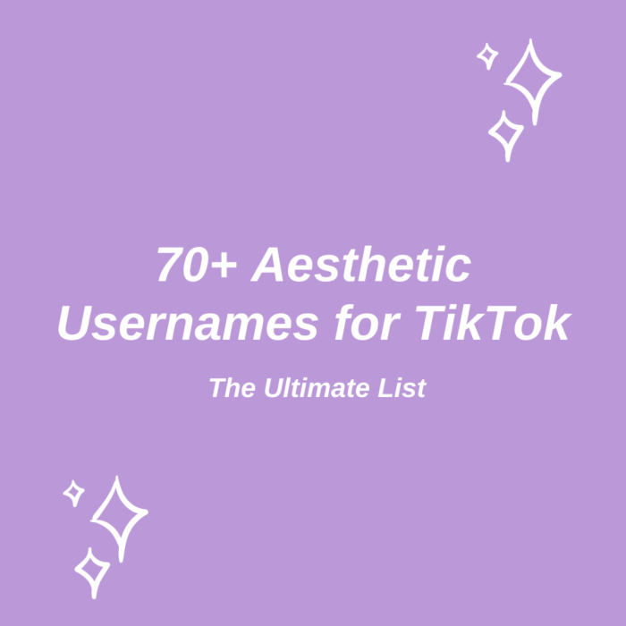 Nama Tiktok Aesthetic Dan Artinya