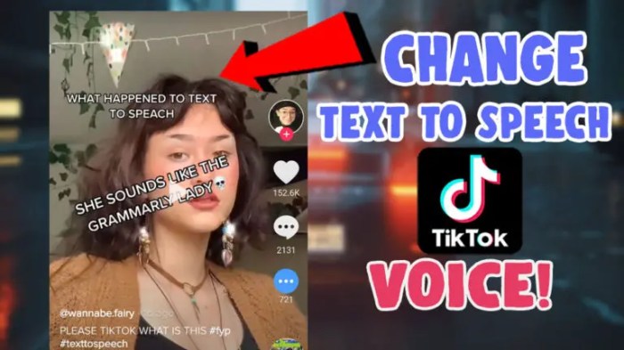 Cara Mengubah Tulisan Di Tiktok