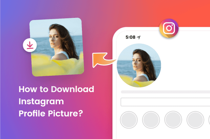 Web Download Foto Profil Instagram