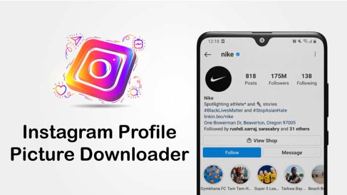 Cara Download Profil Ig Orang