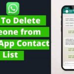 Cara Menghapus Kontak Di Whatsapp Business