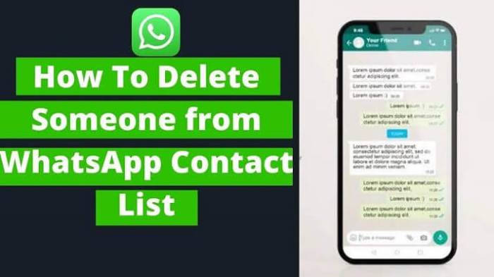 Cara Menghapus Kontak Di Whatsapp Business