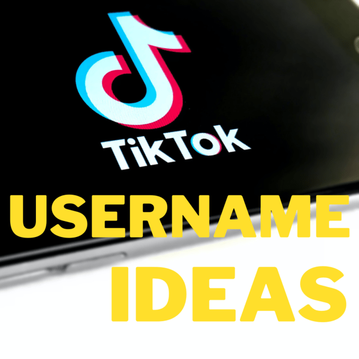 Username Yang Bagus Untuk Tiktok