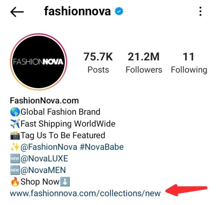 Contoh Bio Online Shop Di Instagram